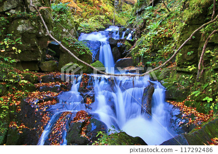 Autumn Oirase Gorge (Towada City, Aomori Prefecture) Autumn Oirase Gorge (Towada City, Aomori Prefecture) 117292486