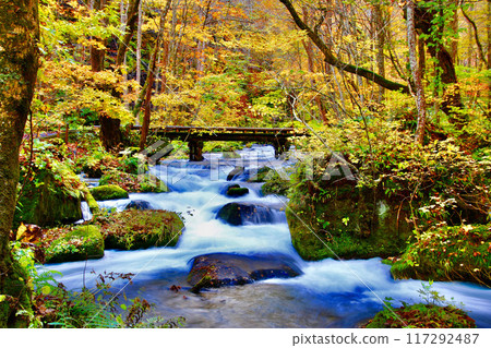 Autumn Oirase Gorge (Towada City, Aomori Prefecture) Autumn Oirase Gorge (Towada City, Aomori Prefecture) 117292487