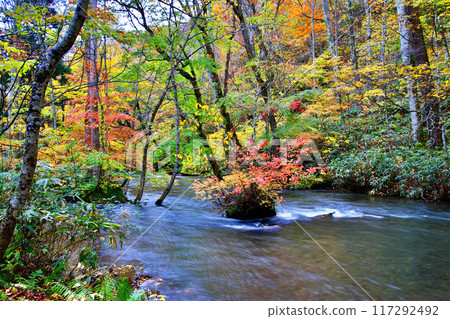 秋天的奧久瀨瀨溪流(青森縣十和田市) 秋天的奧久瀨瀨溪流(青森縣十和田市) 117292492