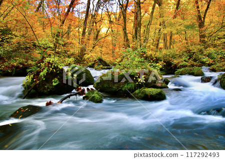 秋天的奧久瀨瀨溪流（青森縣十和田市） 117292493