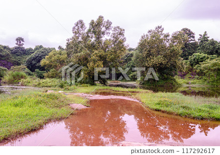 Reflection in the lake 117292617