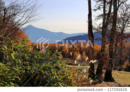 Autumn leaves at Dekodaira 117292628