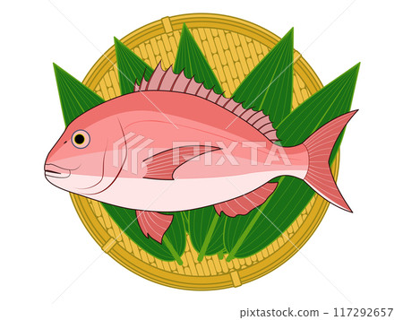 Red sea bream placed on a bamboo leaf-lined colander 117292657