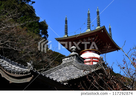 Tokushima Yakuoji Temple 117292874