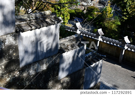 Tokushima Yakuoji Temple 117292891
