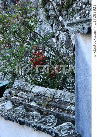 德島藥王寺 德島藥王寺 117292922