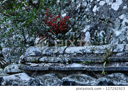 德島藥王寺 117292923