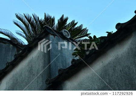 Tokushima Yakuoji Temple 117292926