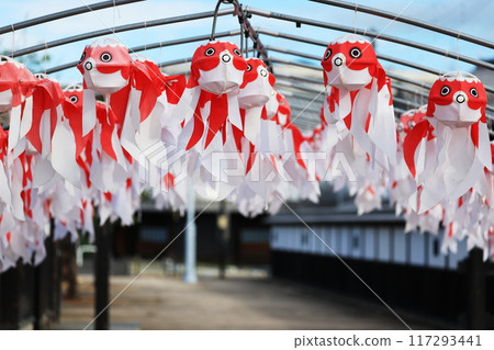 柳井金魚元宵節2496 柳井金魚元宵節2496 117293441