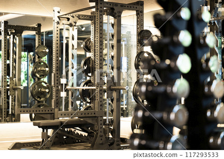 Sports gym training gym image 117293533