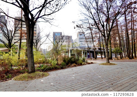 兵庫縣神戶市中央區神戶三宮東遊樂園冬天的死景 117293628