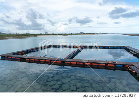 海豚幻想石垣島 海豚幻想石垣島 117293927