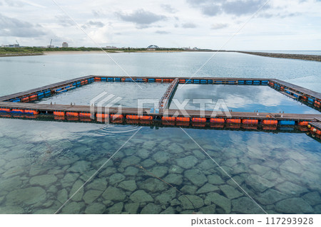海豚幻想石垣島 海豚幻想石垣島 117293928