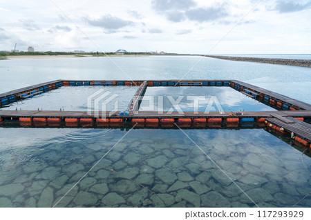海豚幻想石垣島 海豚幻想石垣島 117293929