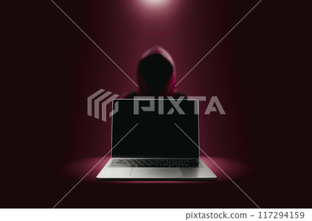 Crime and attack technology concept by hacker , Grey laptop with black blank screen 117294159