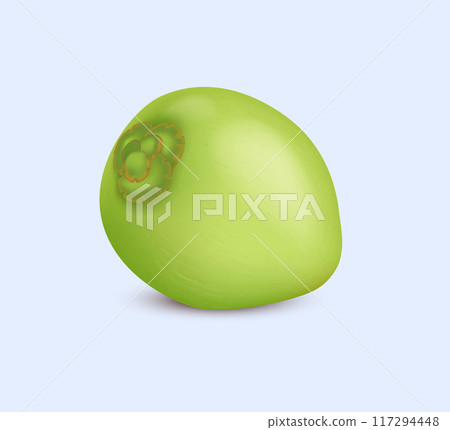 Young green coconut fruit realistic vector illustration Young green coconut fruit realistic vector illustration 117294448