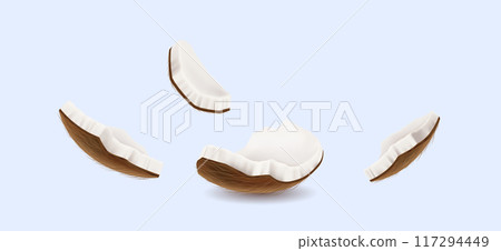 Coconut pieces floating realistic vector illustration 117294449