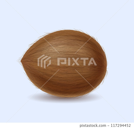 Coconut with brown fiber realistic vector illustration Coconut with brown fiber realistic vector illustration 117294452