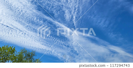 Fluffy white clouds and blue sky over the park on a beautiful clear day 117294743