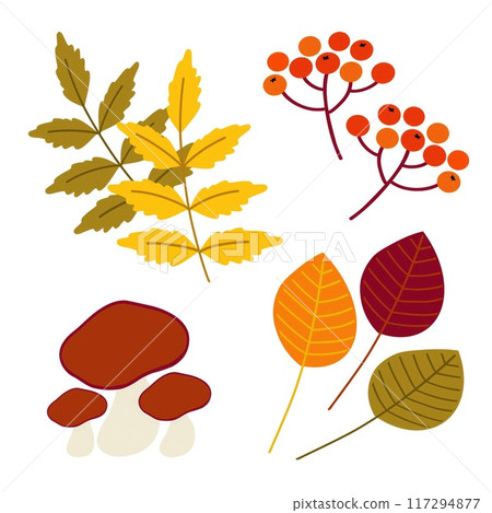 Colorful autumn leaves, bright red berries, and mushrooms create a vibrant display reflecting the essence of fall. Colorful autumn leaves, bright red berries, and mushrooms create a vibrant display reflecting the essence of fall. 117294877