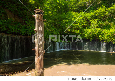 Shiraito瀑佈在長野縣輕井澤鎮 Shiraito瀑佈在長野縣輕井澤鎮 117295240