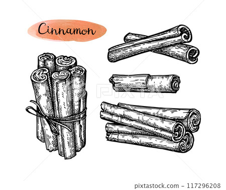 Cinnamon ink sketch set Cinnamon ink sketch set 117296208