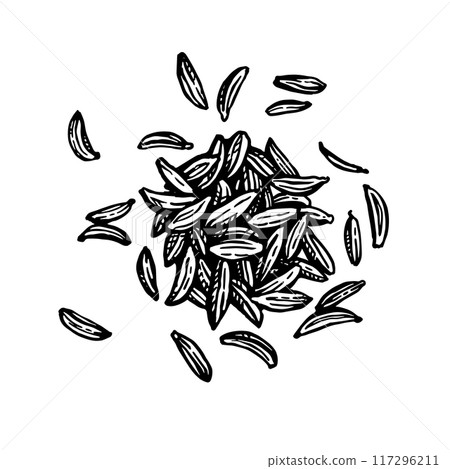 Caraway seeds ink sketch. 117296211