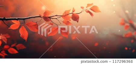 Autumn Blaze Maple Leaves in Radiant Fall Colors 117296368