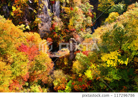 Naruko Gorge in Autumn (Osaki City, Miyagi Prefecture) Naruko Gorge in Autumn (Osaki City, Miyagi Prefecture) 117296786