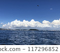 Summer Tokyo Bay from a boat 117296852
