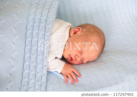Newborn baby boy on a blue blanket Newborn baby boy on a blue blanket 117297402