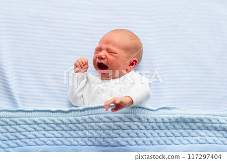 Newborn baby boy on a blue blanket 117297404