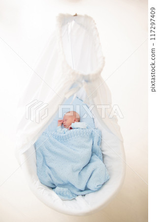 Newborn baby boy in white bassinet Newborn baby boy in white bassinet 117297409