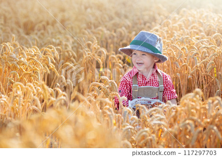 Child in wheat field with German bread 117297703