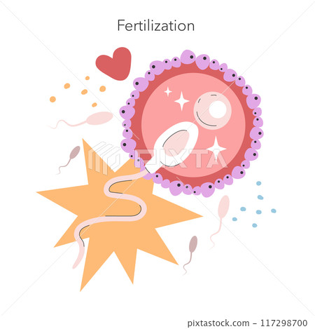 Fertilization concept. Fun depiction of sperm meeting egg during fertilization with stars and a heart symbol. Reproductive biology. Vector illustration. 117298700
