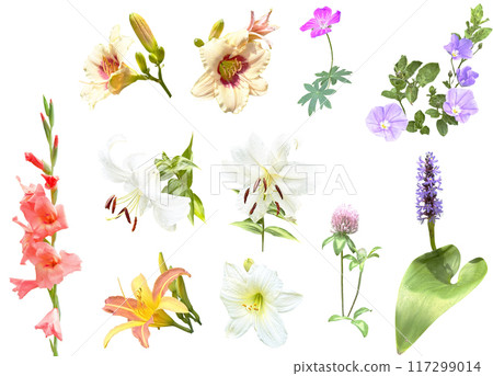 剪紙素材組-夏日花5 剪紙素材組-夏日花5 117299014