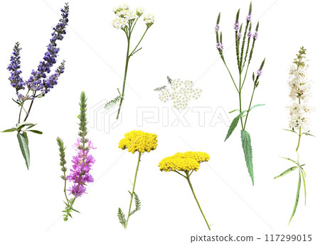 Cutout material set - Summer flowers 6 Cutout material set - Summer flowers 6 117299015