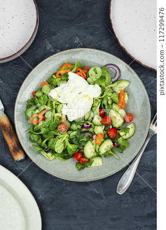 salad with Burrata cheese and vegetables 117299476