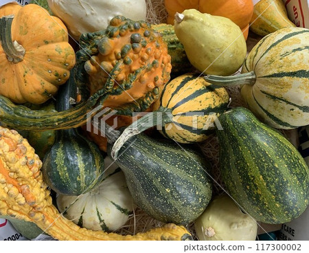 萬聖節南瓜 萬聖節南瓜 117300002