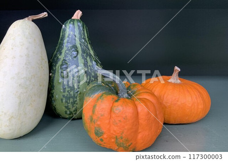 萬聖節南瓜 117300003