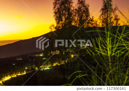 The atmosphere before sunrise on one of the hills near Bromo as seen from among the trees and bushes. 117300161