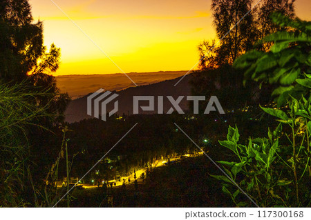 The atmosphere before sunrise on one of the hills near Bromo as seen from among the trees and bushes. The atmosphere before sunrise on one of the hills near Bromo as seen from among the trees and bushes. 117300168