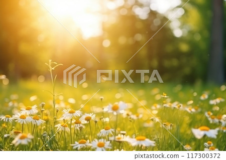 Summer background: a vibrant and inviting banner with copy space, capturing the essence of the sunny season with bright colors and cheerful imagery. 117300372