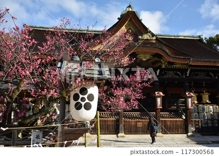 天神山神樹紅梅「飛梅」與本宮參拜殿 117300568