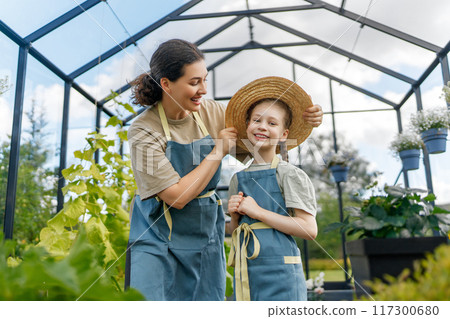 mother and daughter are gardening in the greenhouse mother and daughter are gardening in the greenhouse 117300680