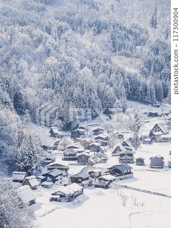 從上方看雪中的白川鄉 117300904