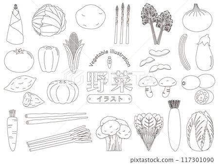 Set of various vegetable illustrations_Line drawings 117301090