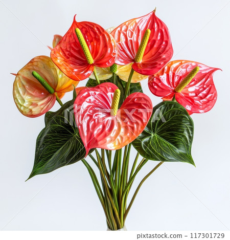 Fresh Anthurium Flowers Arranged in a Bouquet on White Background, Perfect for Floral Arrangements and Decor Generative AI 117301729