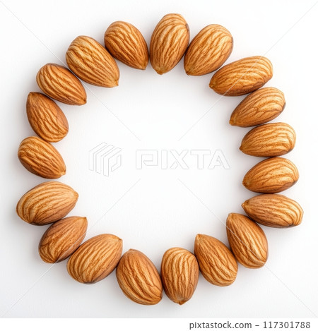 Almond Nut Isolated on White Background Generative AI 117301788