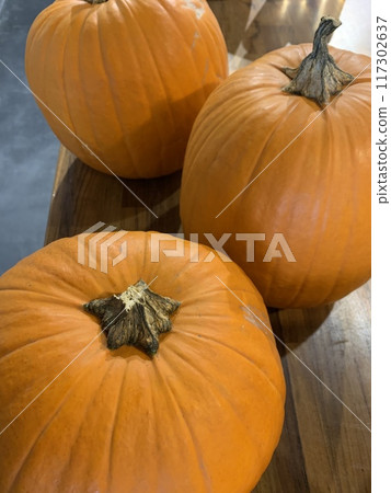 萬聖節快樂大南瓜 117302637